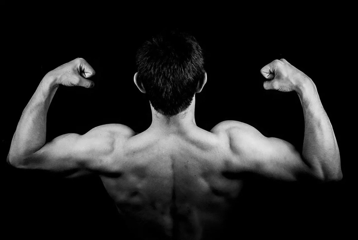 Comment muscler ses biceps en seulement quelques minutes