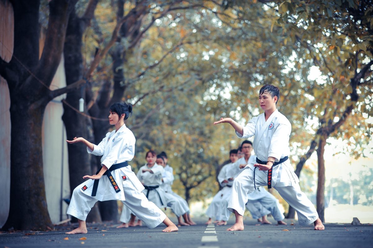 Karaté et kung-fu : quelles différences et quels enseignements ?